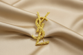 YLS 6
